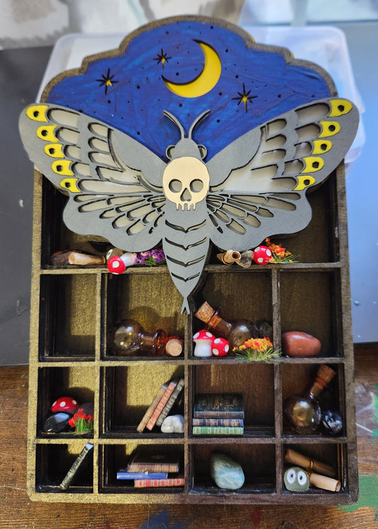 Death Head Moth Shelf